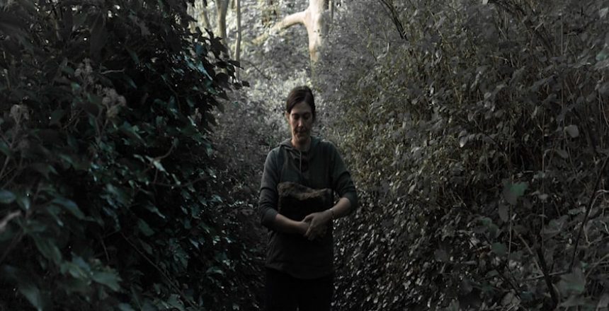 Colour grade washed out